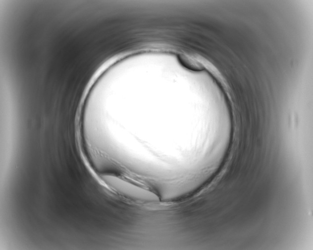 X0000085781440200704091404