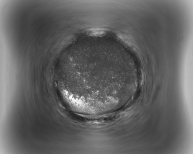 X0000085781441200704091403