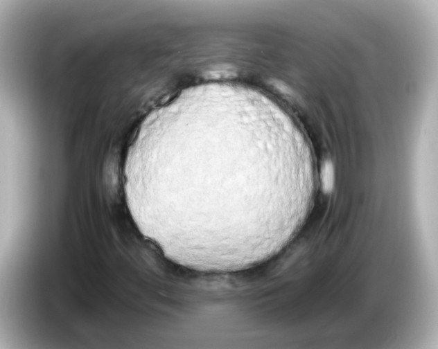 X0000085781444200704091403