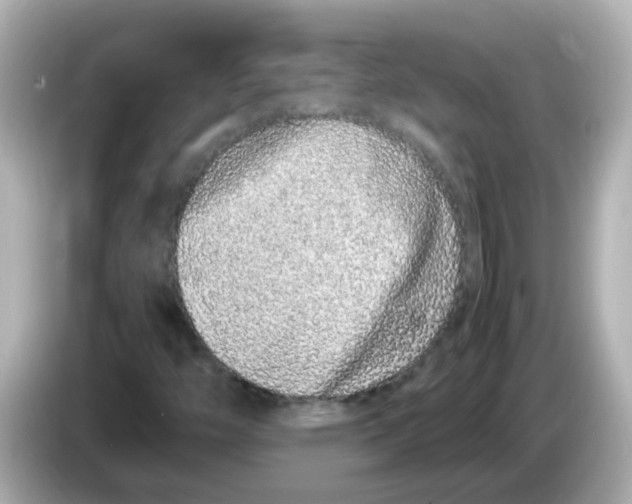 X0000085781446200704091403