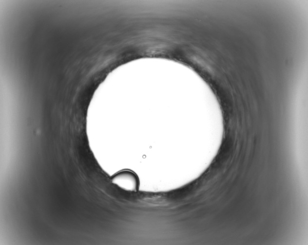 X0000085781447200704091403