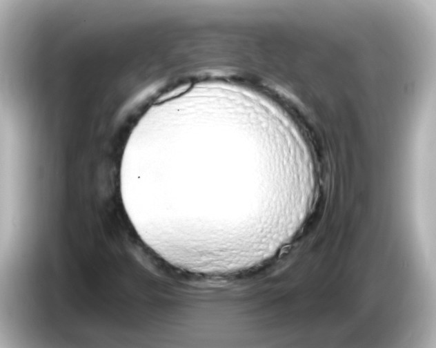 X0000085781448200704091403