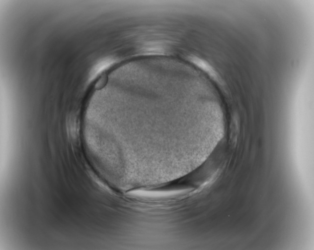 X0000085781450200704091403