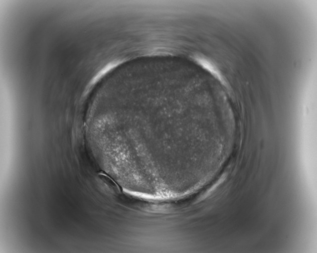 X0000085781453200704091403