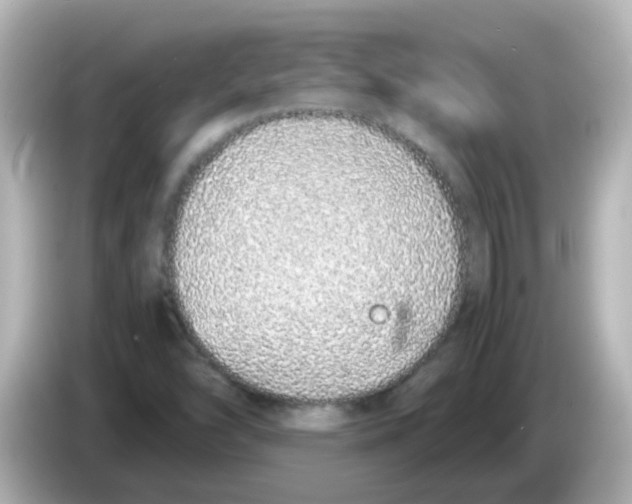 X0000085781454200704091403