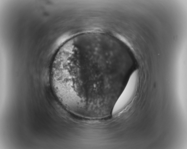 X0000085781455200704091403