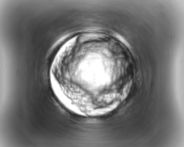 X0000085781456200704091403