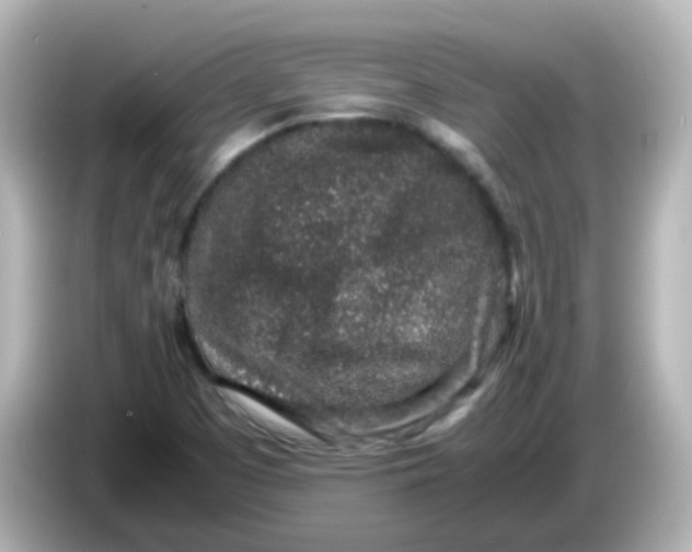 X0000085781457200704091403