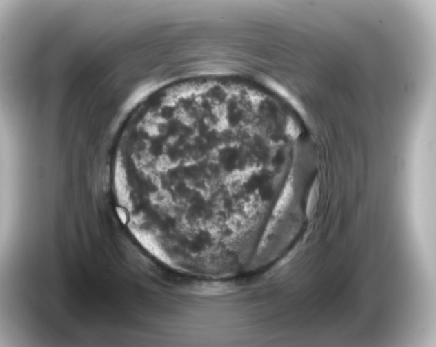 X0000085781459200704091403