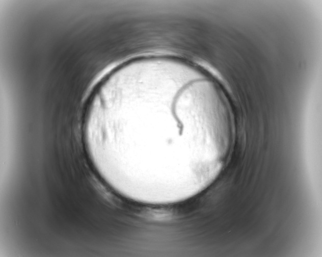 X0000085781460200704091403