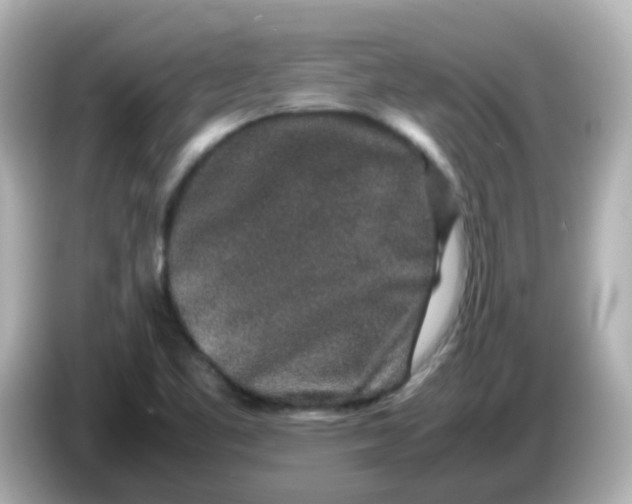 X0000085781461200704091403