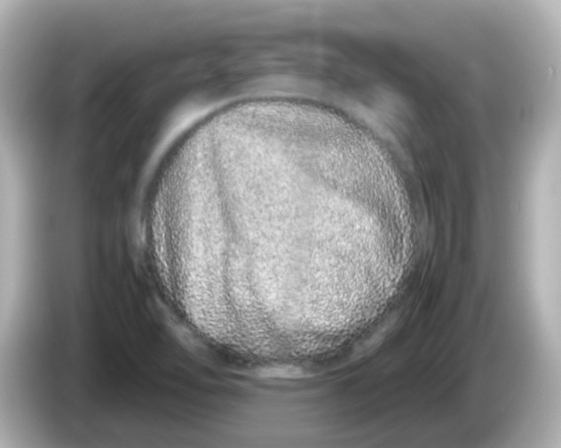 X0000085781462200704091403