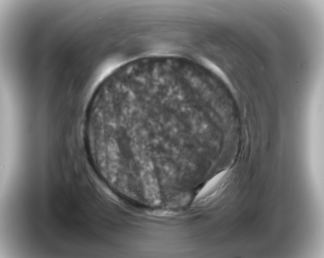 X0000085781463200704091403