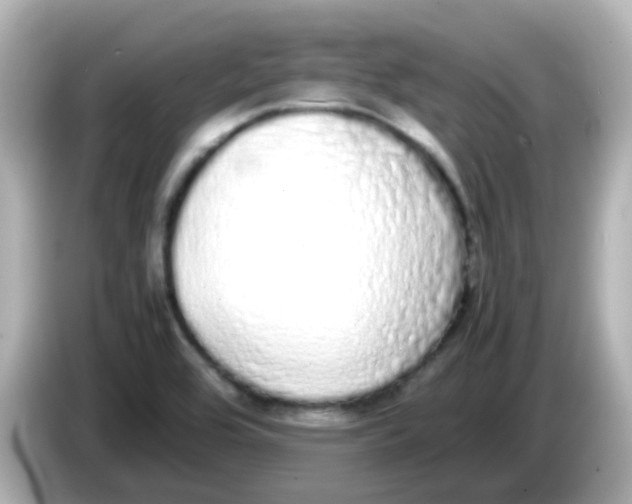 X0000085781464200704091403