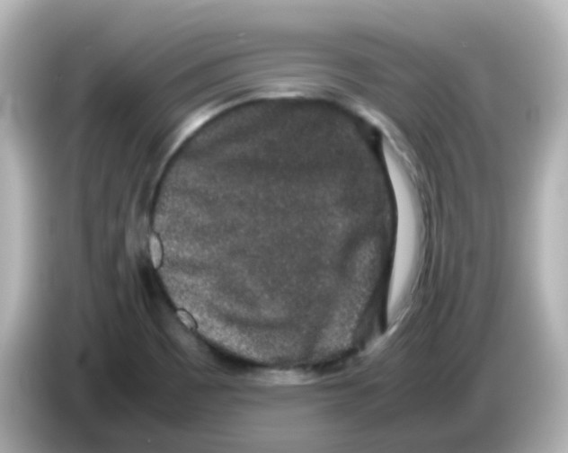 X0000085781465200704091403