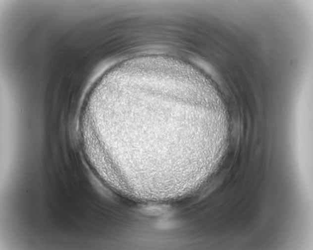 X0000085781466200704091403