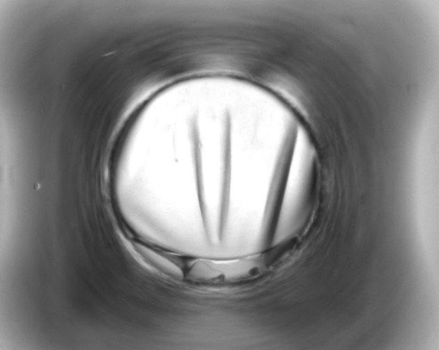 X0000085781468200704091403