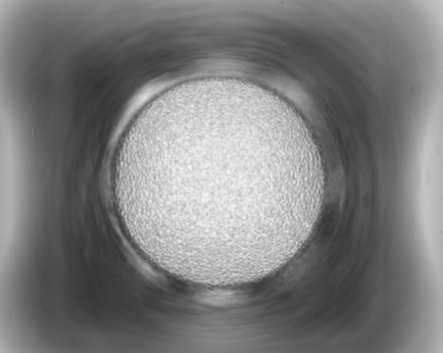 X0000085781470200704091403