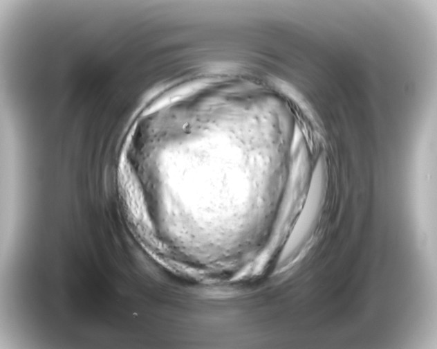 X0000085781473200704091403