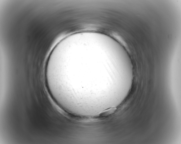 X0000085781475200704091403