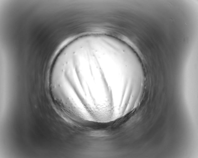 X0000085781477200704091403