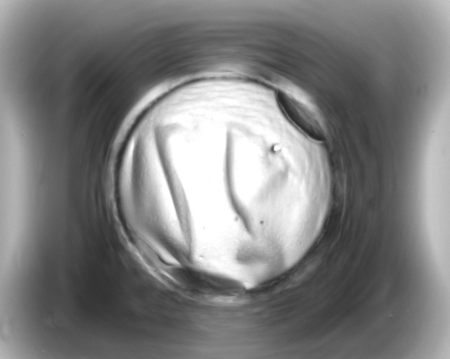 X0000085781480200704091403