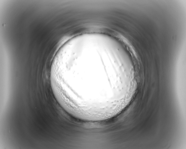 X0000085781481200704091402