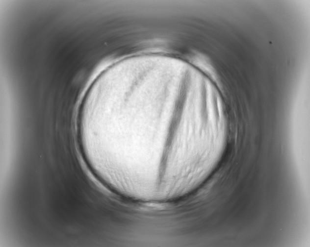 X0000085781483200704091402