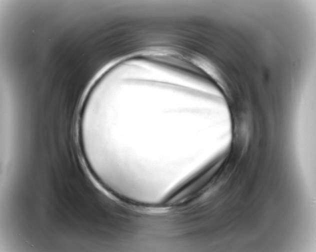 X0000085781484200704091402