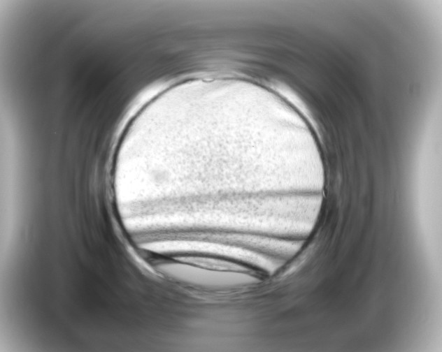 X0000085781485200704091402