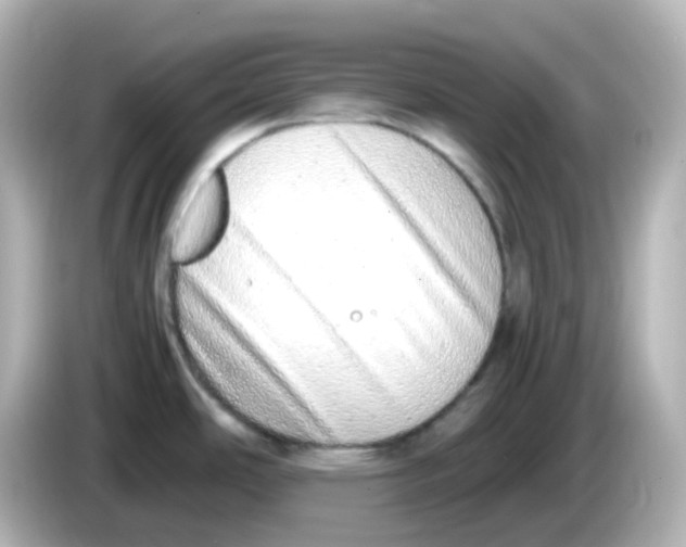 X0000085781486200704091402