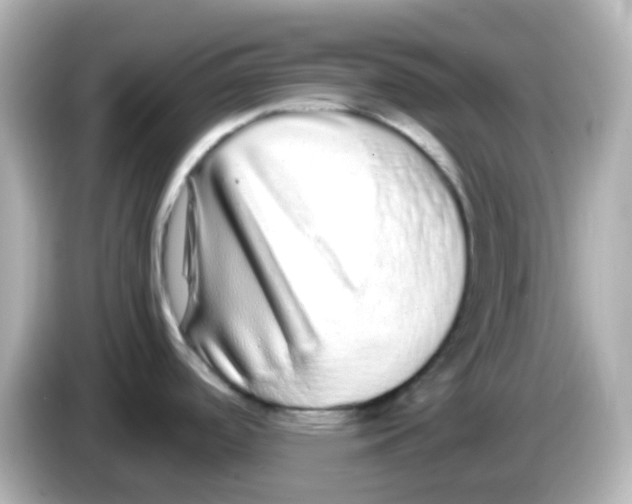 X0000085781488200704091402