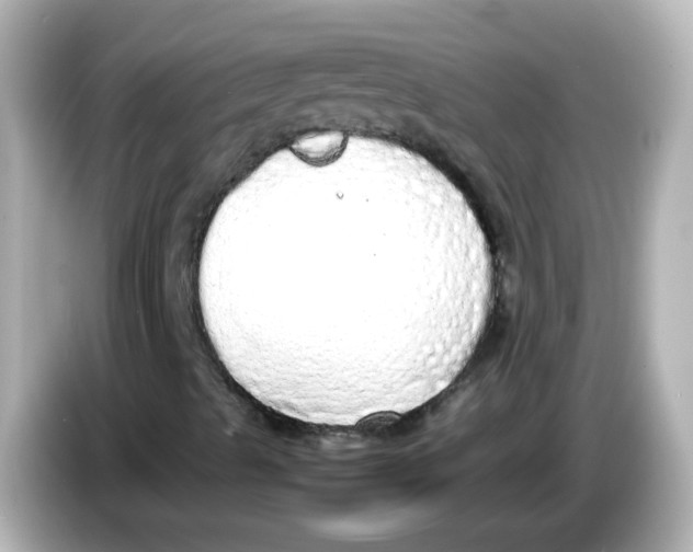 X0000085781489200704091402