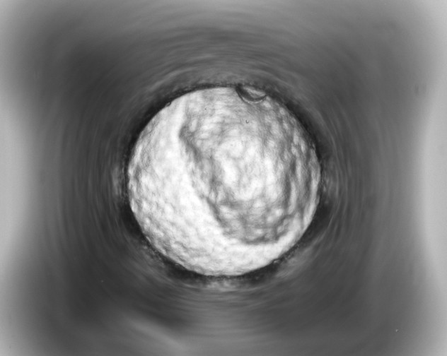 X0000085781490200704091402