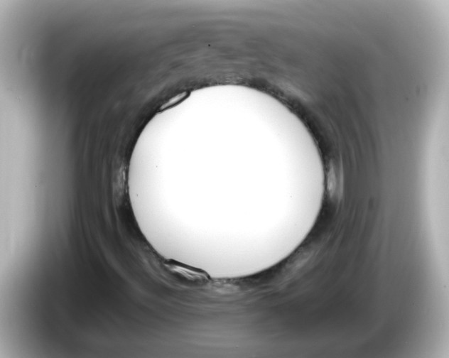 X0000085781492200704091402