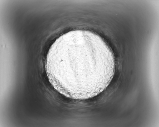 X0000085781493200704091402