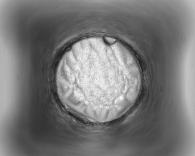 X0000085781494200704091402