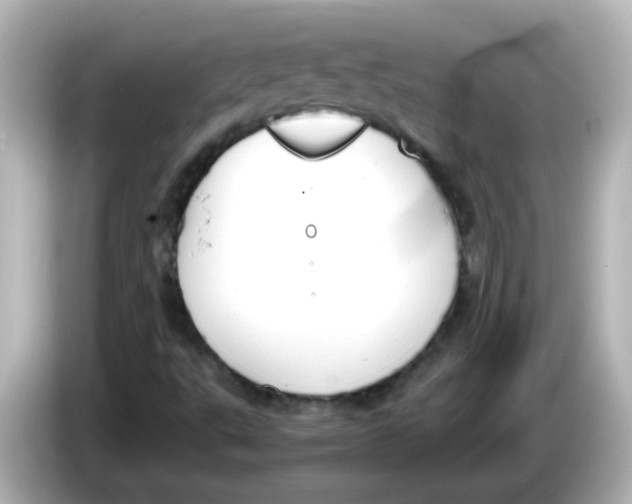 X0000085781495200704091402