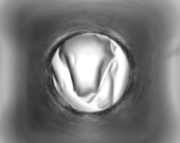 X0000085781496200704091402