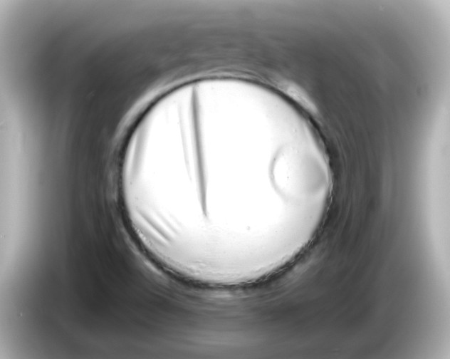 X0000085781504200704091402