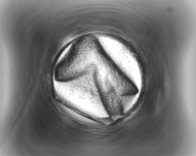 X0000085781505200704091402