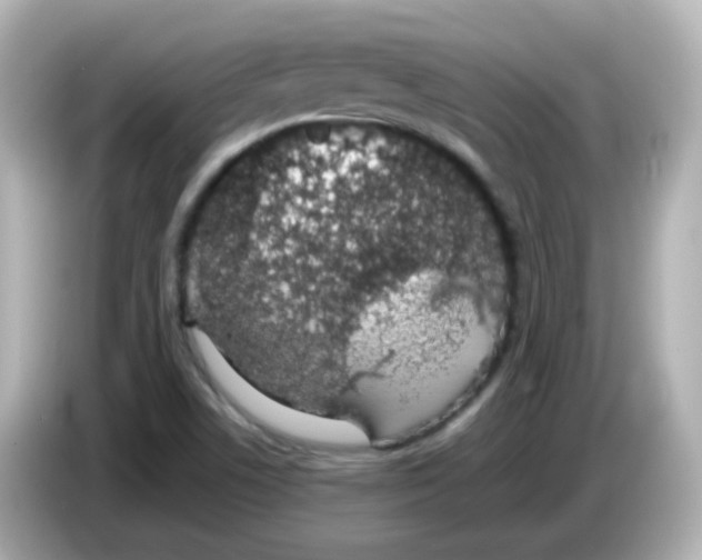 X0000085781506200704091402