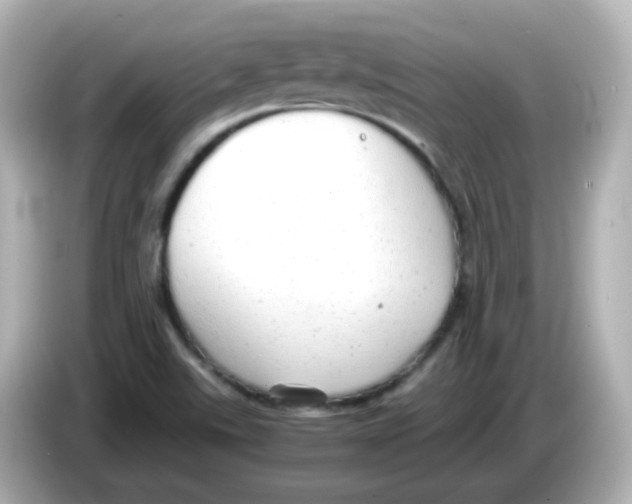 X0000085781507200704091402