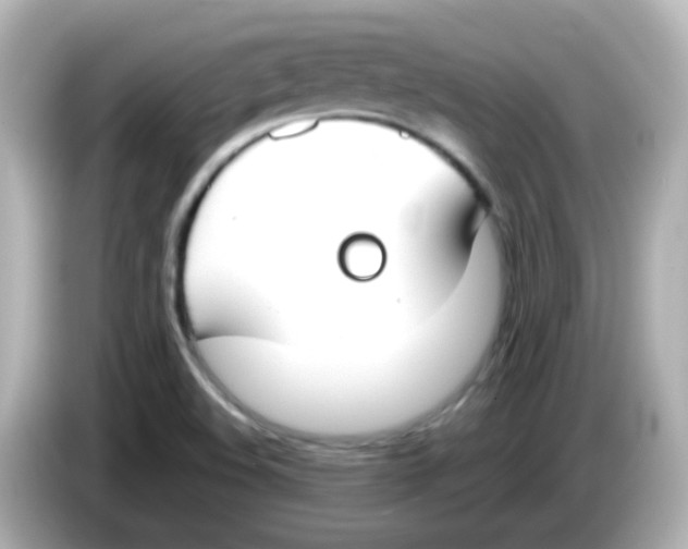 X0000085781508200704091402