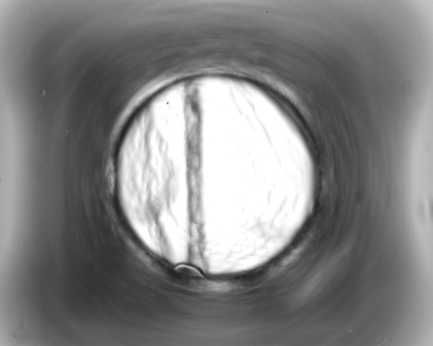 X0000085781509200704091402