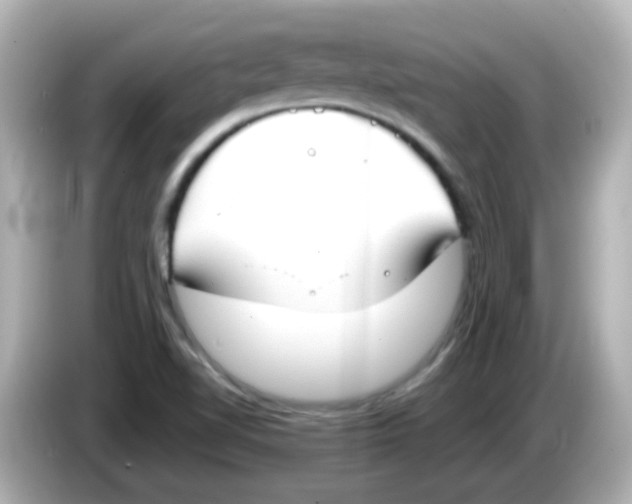 X0000085781510200704091402