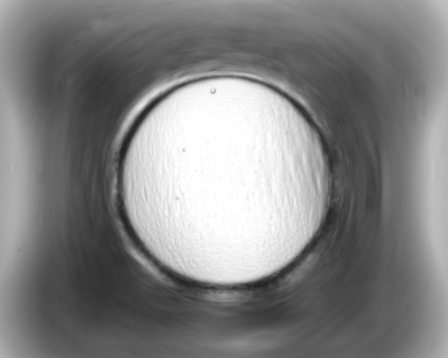 X0000085781511200704091402