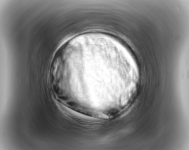 X0000085781513200704091402