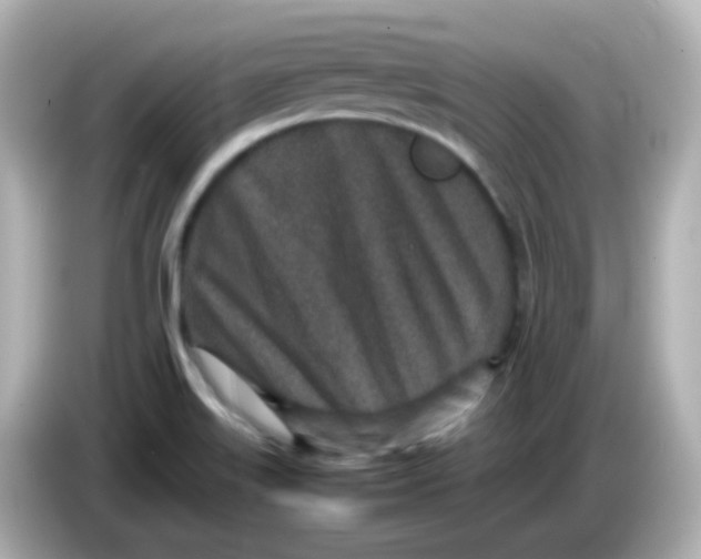 X0000085781515200704091402