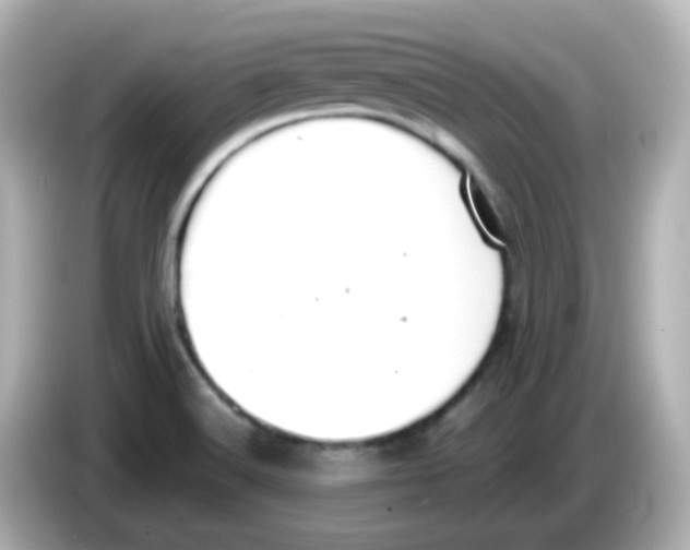 X0000085781516200704091402